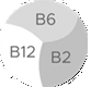 B6, B12 & RIBOFLAVIN (VIT. B2)