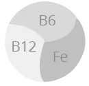 B6, B12 & IRON